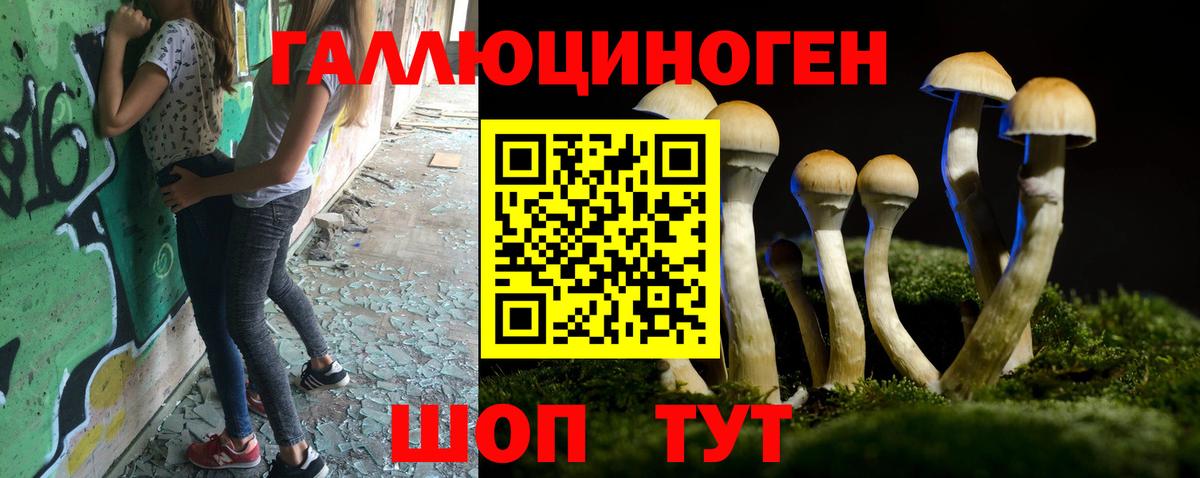 Галлюциногенные грибы ЛСД Ухта